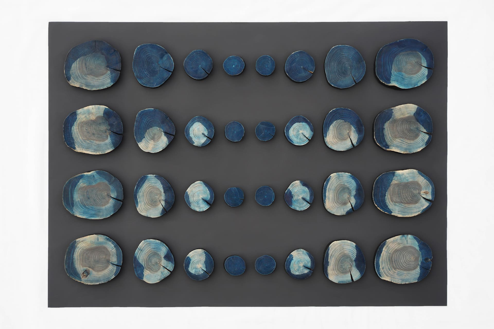 Abstract art featuring rows of blue-stained tree cross-sections on a dark gray background. The circular patterns convey a calm, organic rhythm.