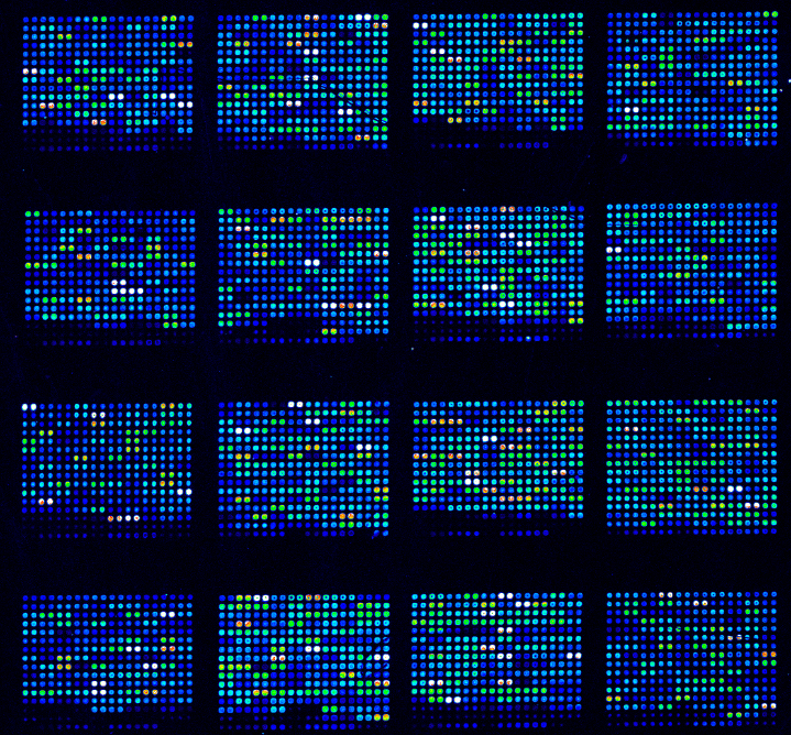 Grid of small blue, green, and white dots on a black background, arranged in a 4x4 pattern, resembling a part of a human DNA code.