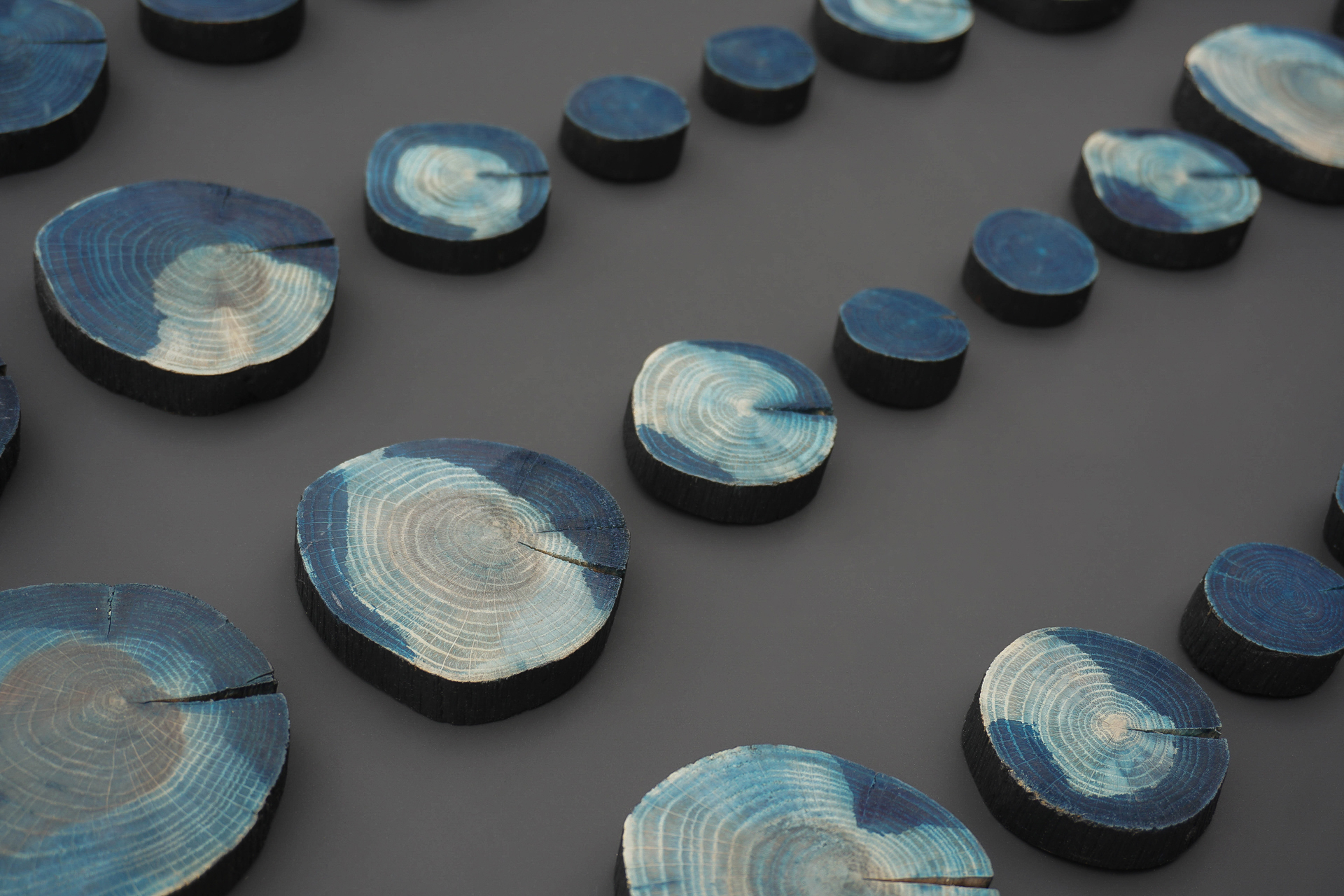 Slices of wood arranged on a dark gray surface, each painted with varying shades of blue. The concentric rings create an artistic, serene pattern.